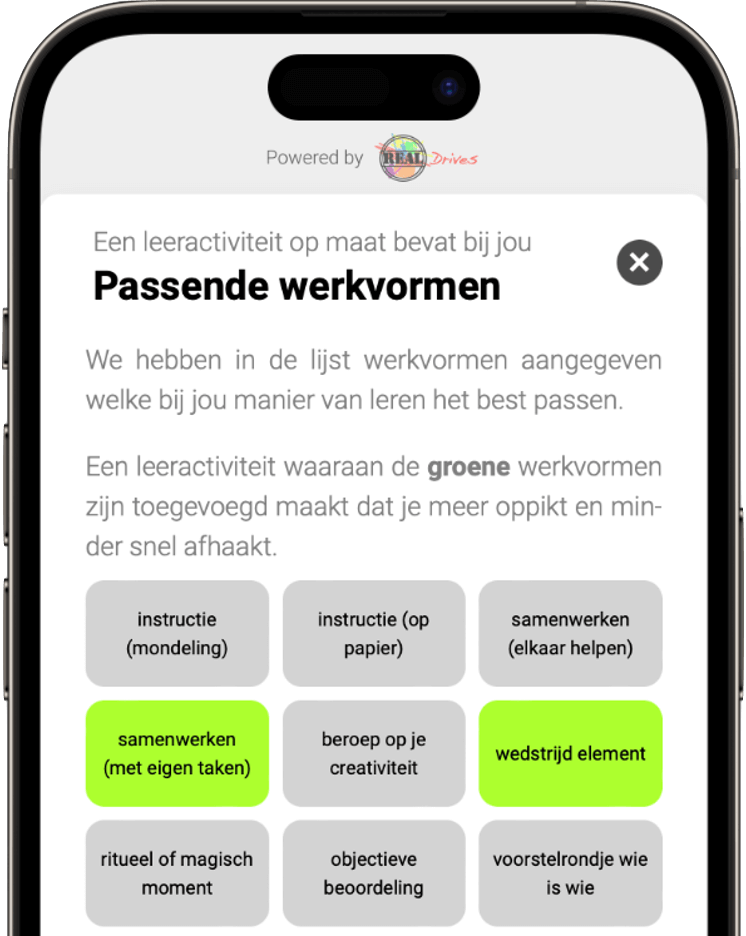 DriveMyMind passende werkvormen / leerstijlen