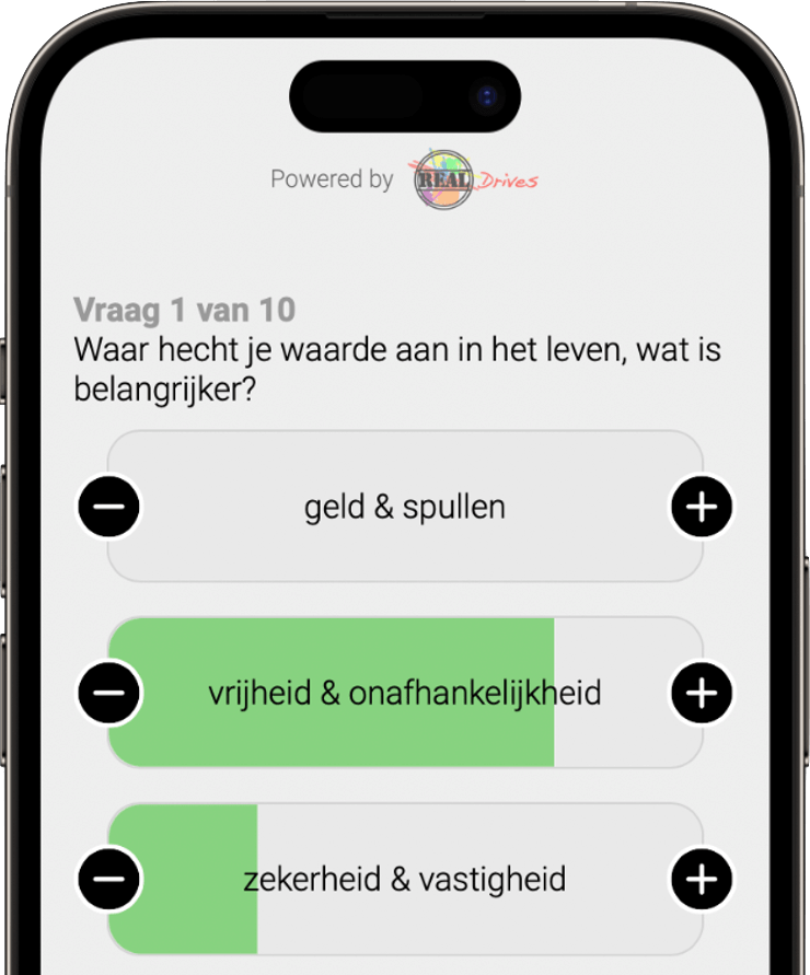 DriveMyMind - vragenlijst